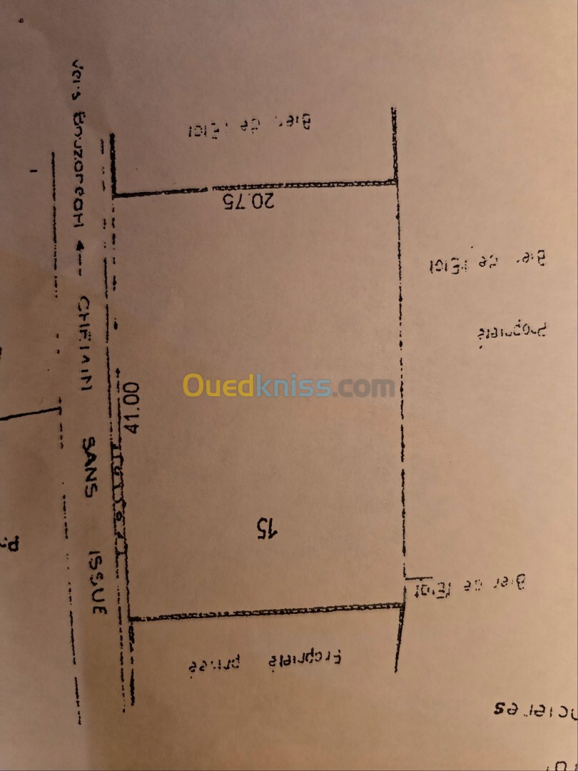 Vente Terrain Alger Bouzareah