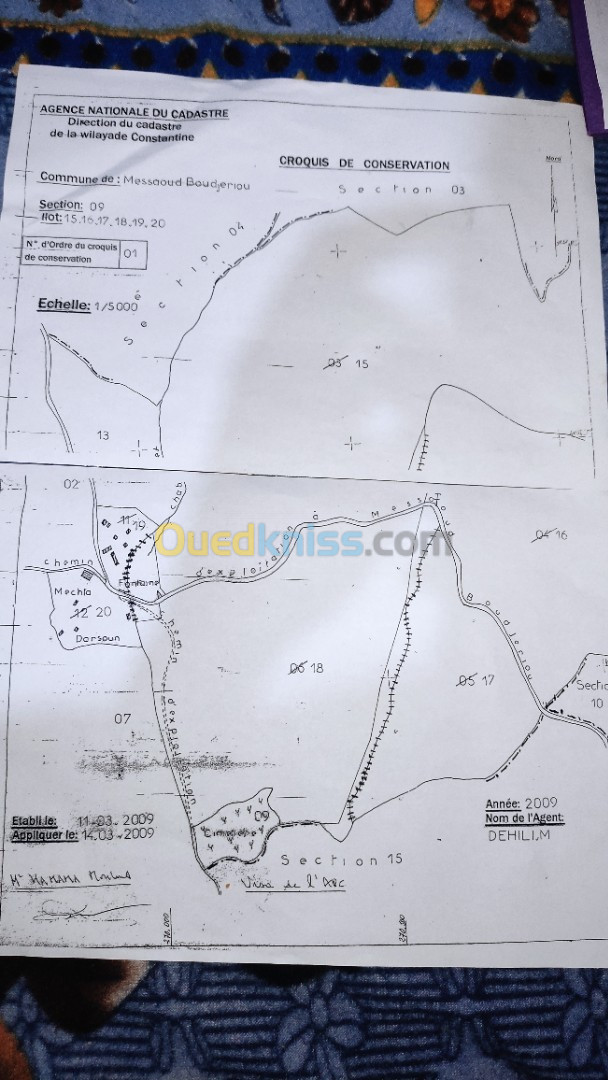 Vente Terrain Agricole Constantine Messaoud Boudjeriou