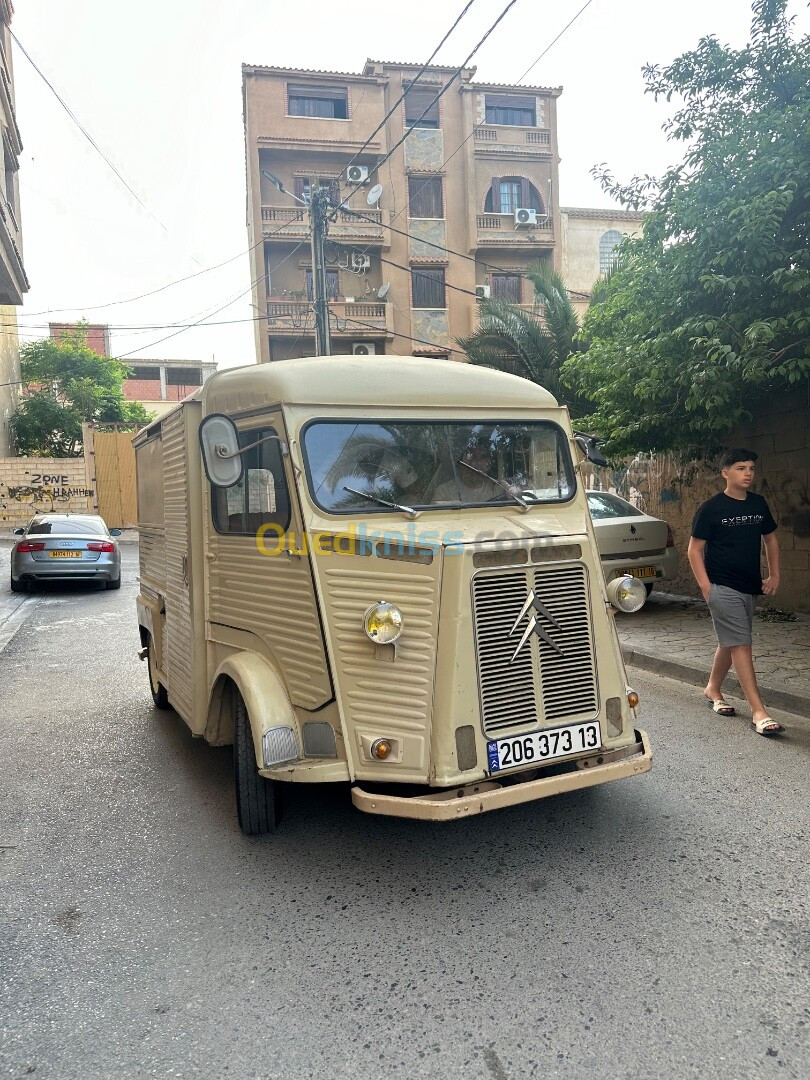 Citroen Citroen type h 1973