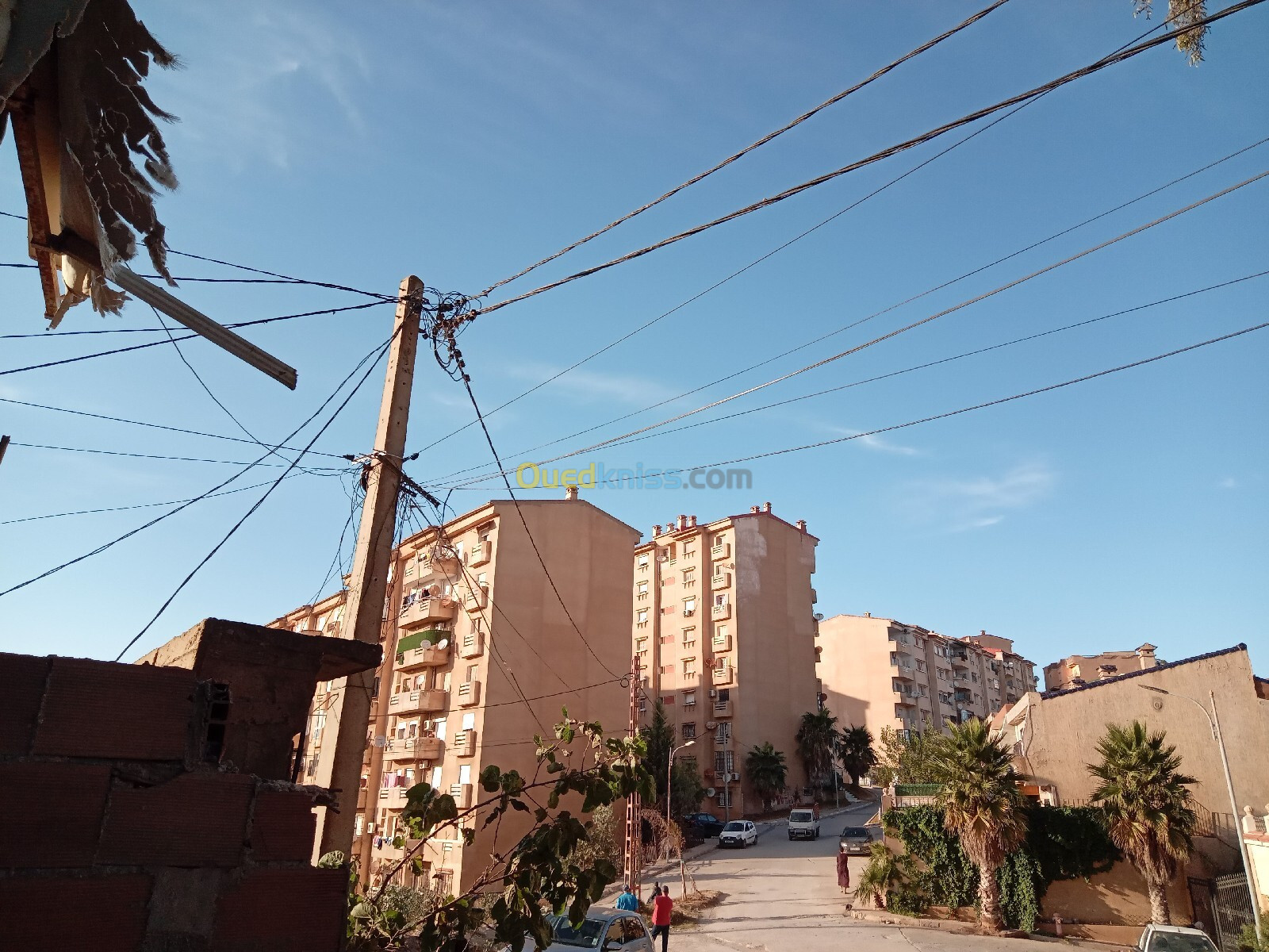 Vente Appartement F3 Alger Bouzareah