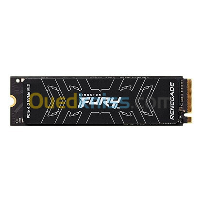 kingston FURY Renegade 1TB PCIe 4.0 NVMe M.2 SSD