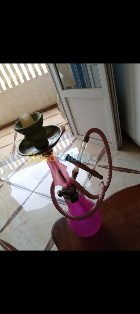 Chicha très décoratif a vendre 