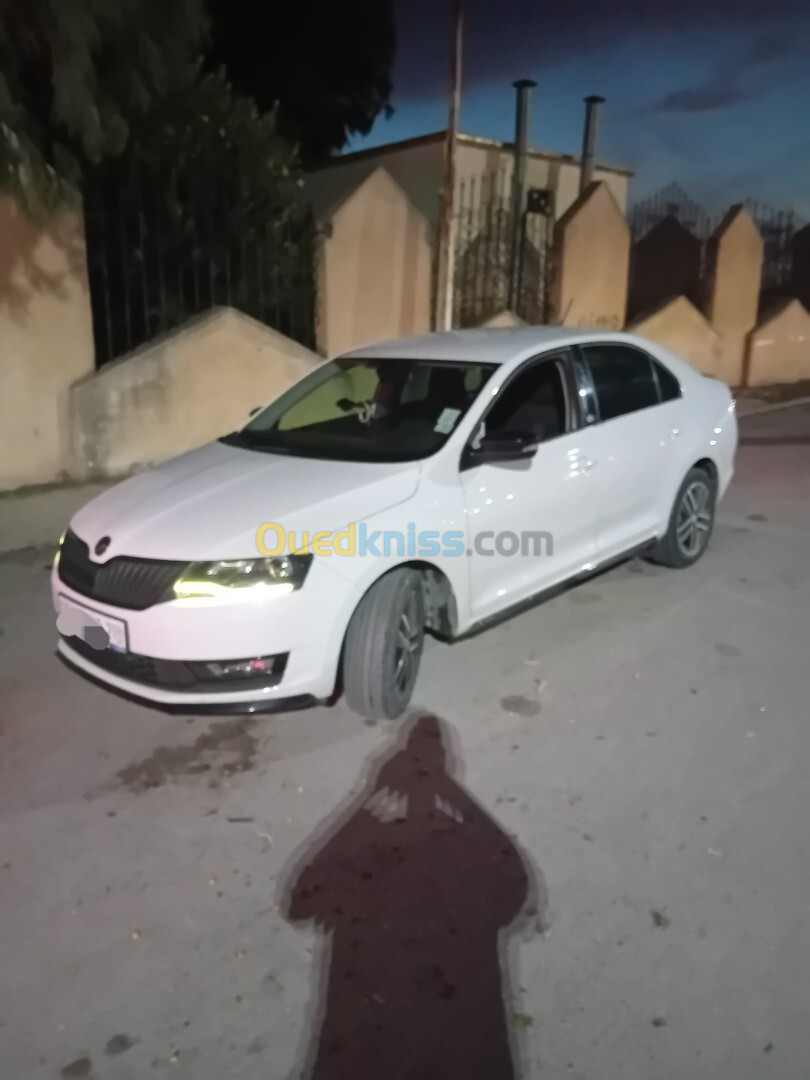 Skoda Rapid 2019 Monte_carlo