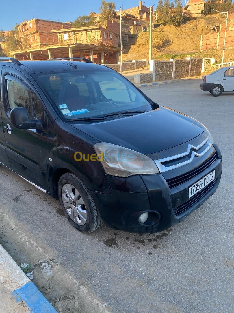 Citroen Berlingo 2010 