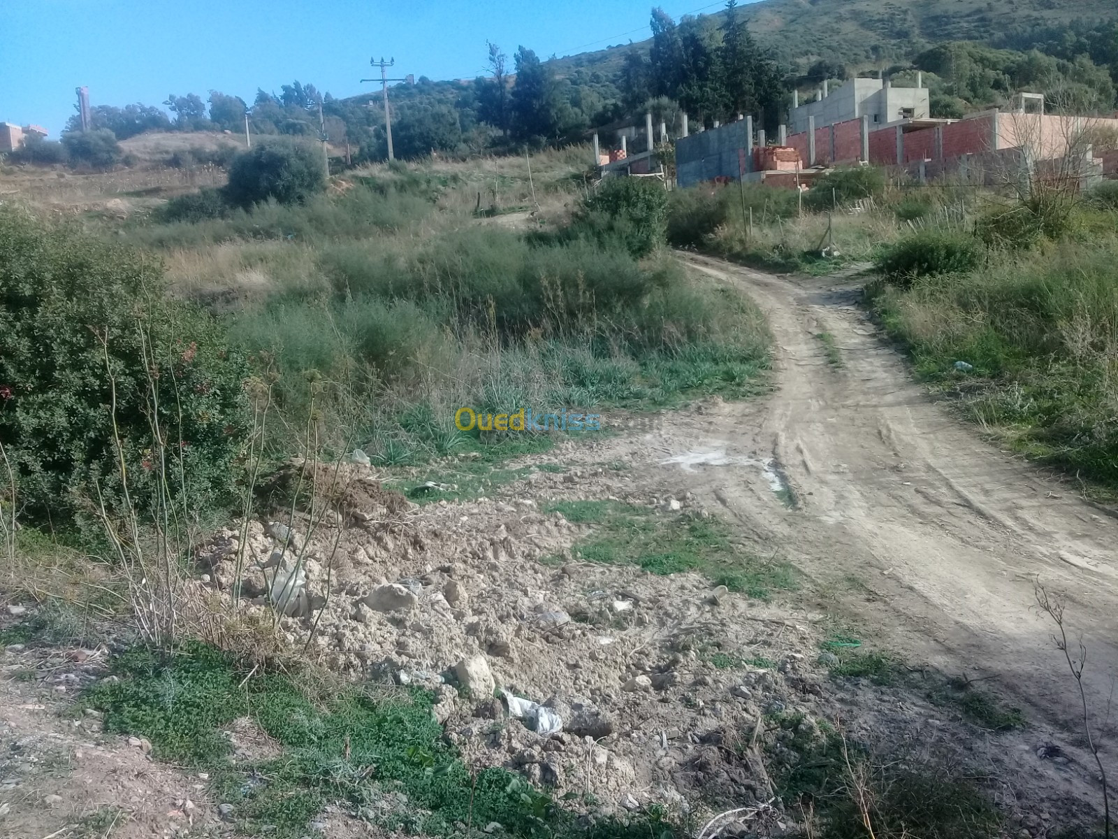 Vente Terrain Blida Bougara