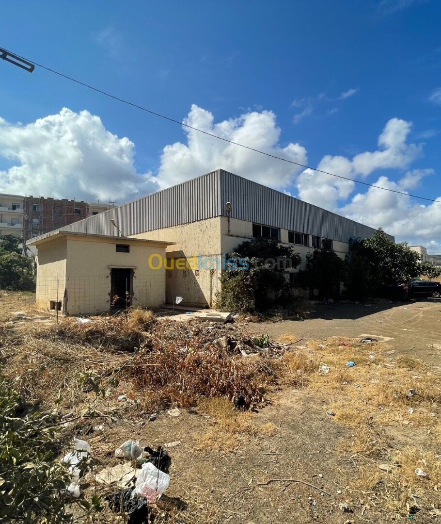 Location Hangar Tipaza Cherchell