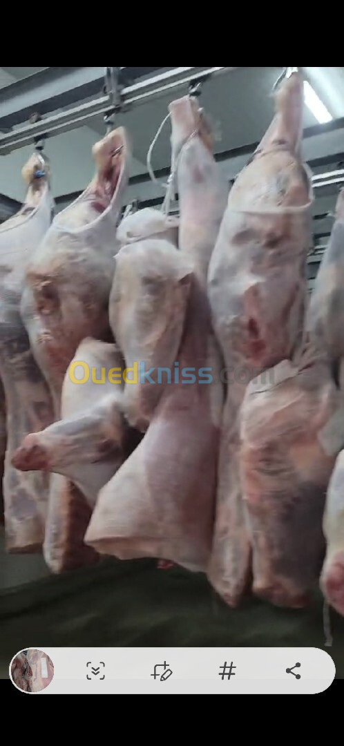 Vente de viande bovine importation 