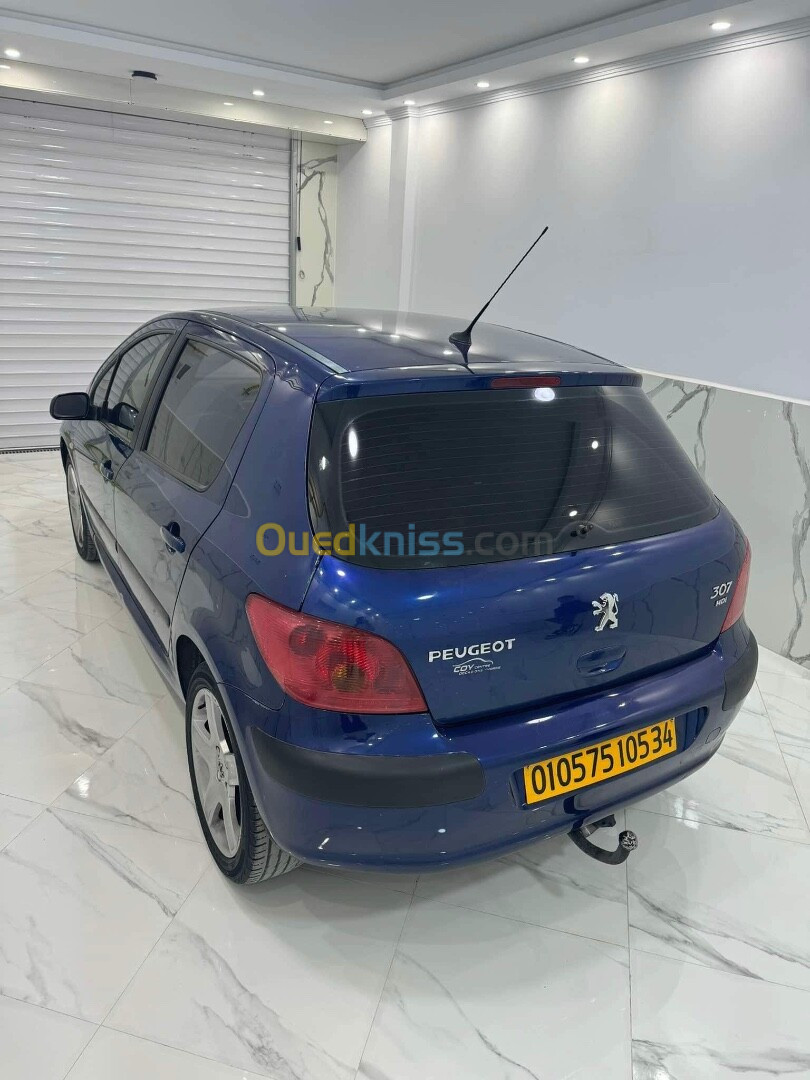 Peugeot 307 2005 XT