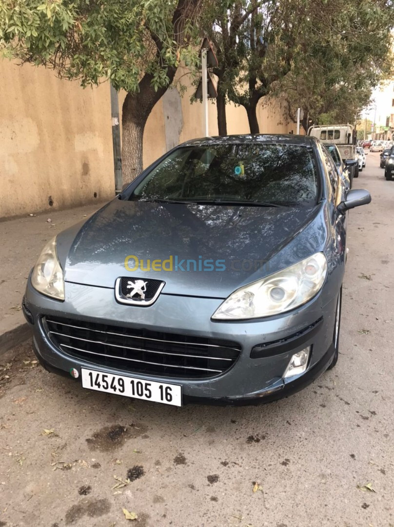 Peugeot 407 2005 407