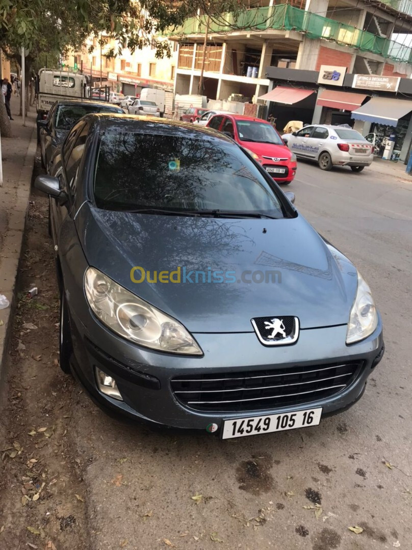 Peugeot 407 2005 407