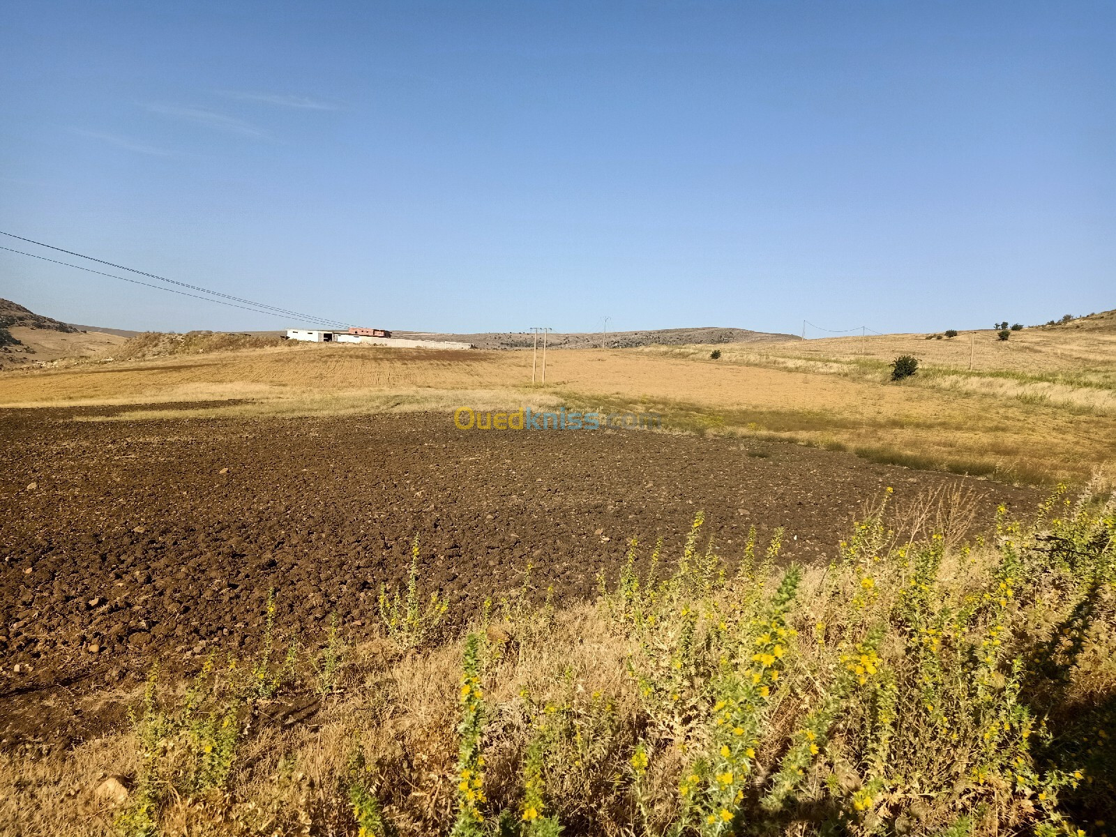 Vente Terrain Agricole Constantine El haria