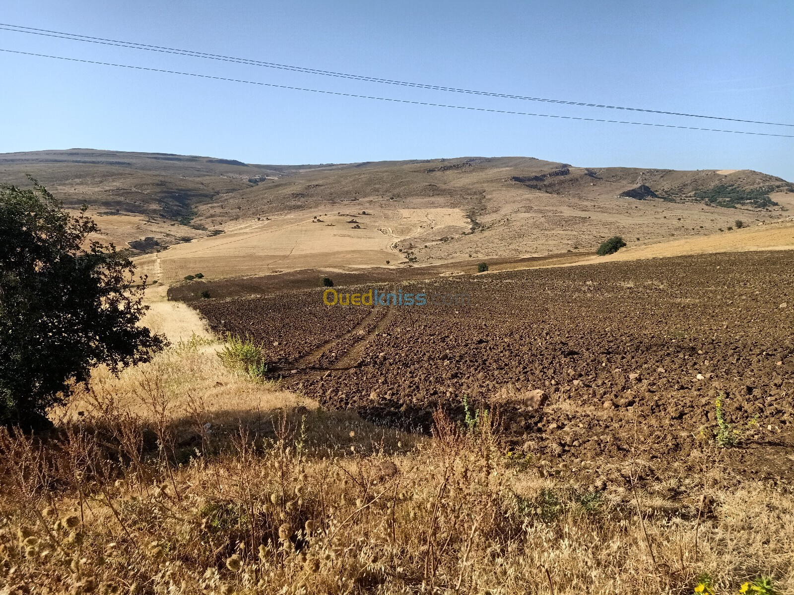 Vente Terrain Agricole Constantine El haria