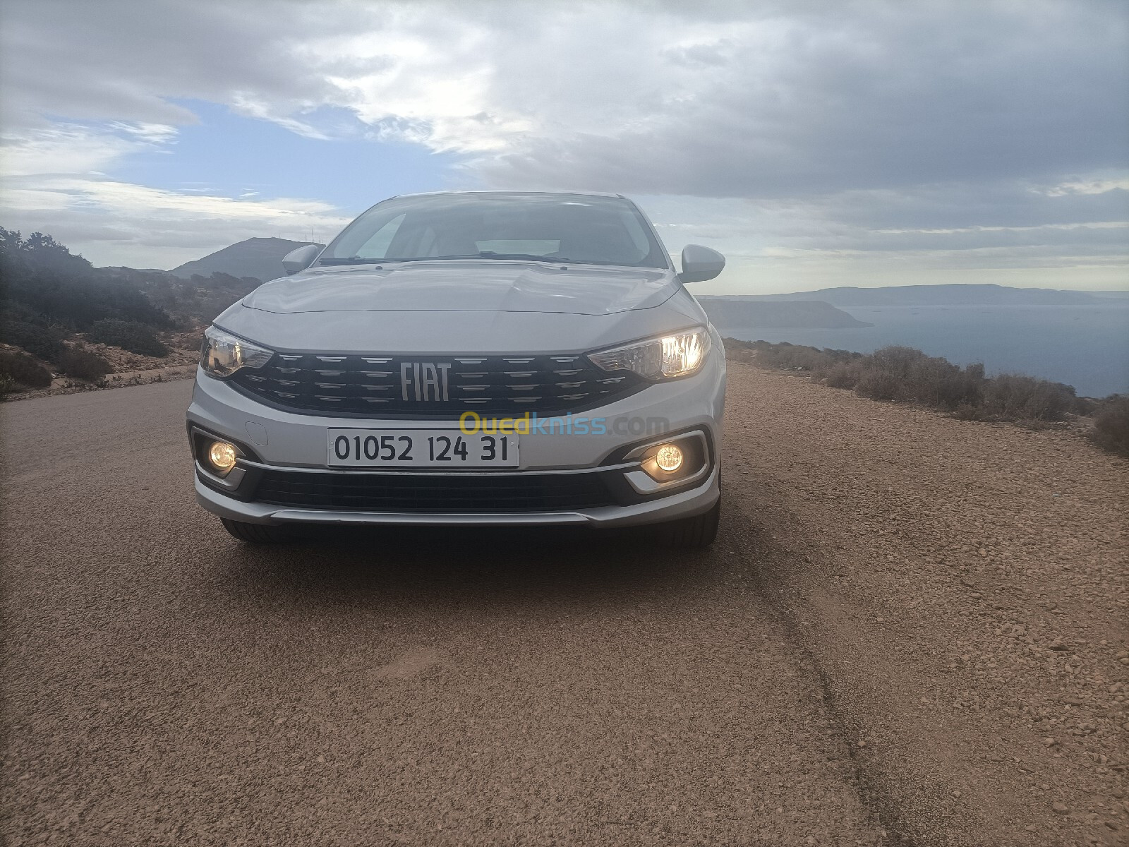 Fiat Tipo 2024 Live