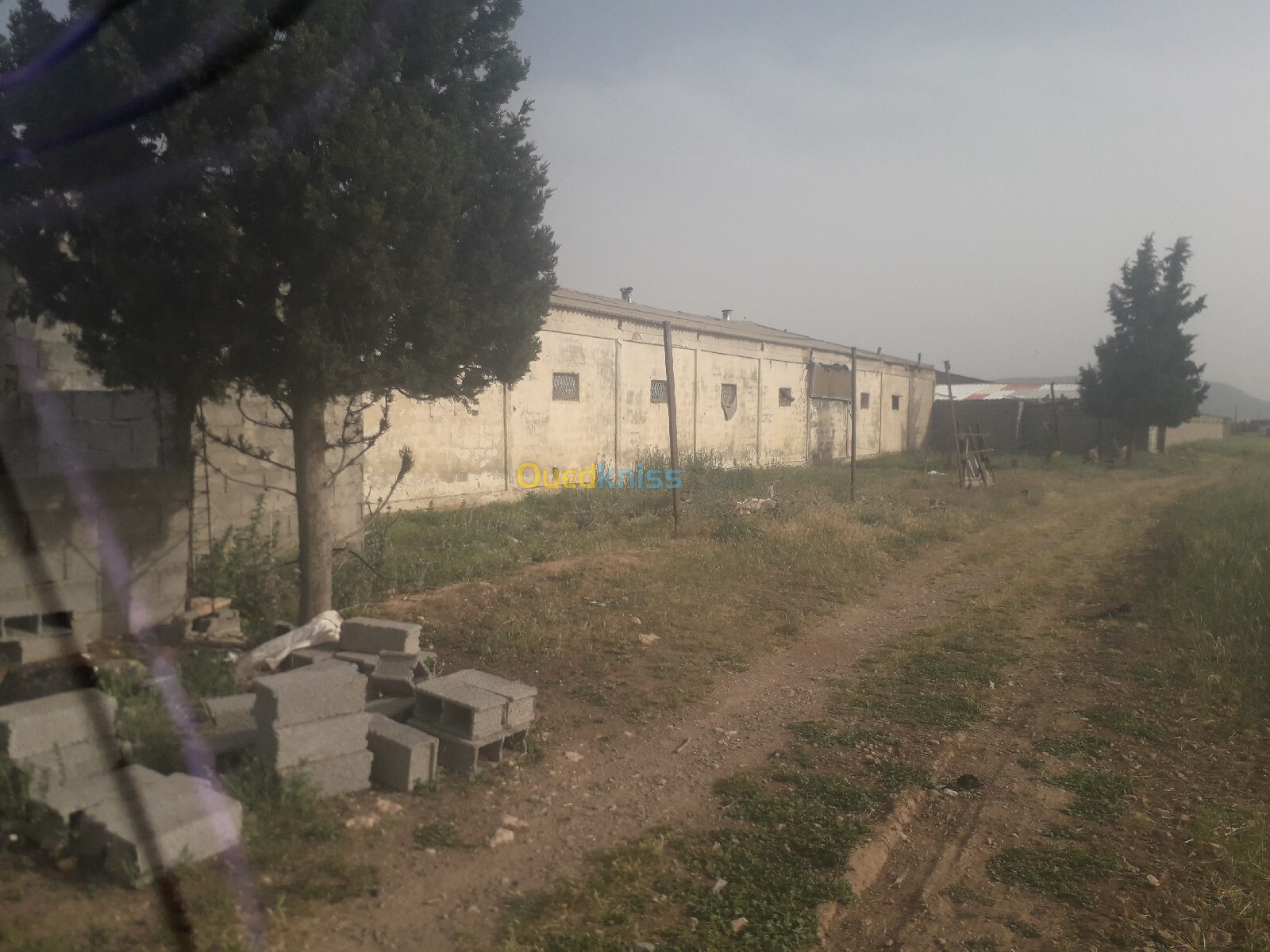 Location Hangar Sétif Guidjel