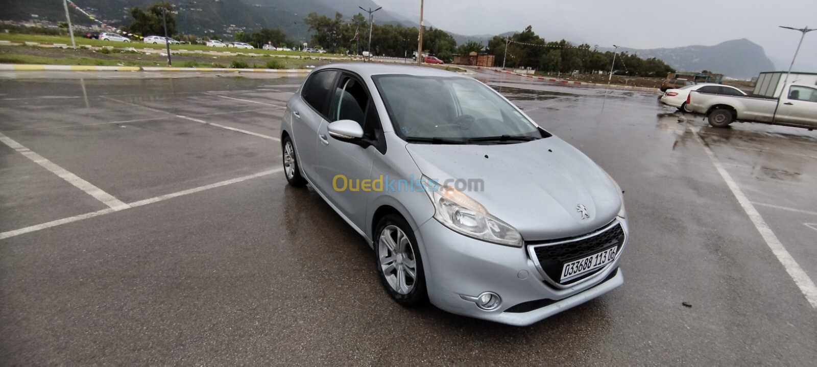 Peugeot 208 2013 Fennec