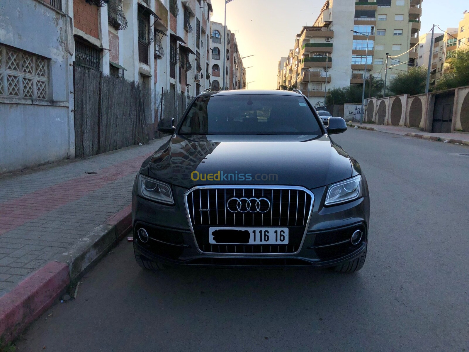 Audi Q5 2016 S Line