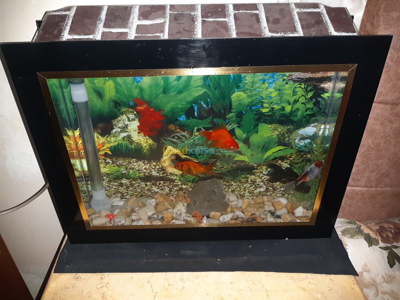 Aquarium plasma 52cm avec Poissons et accessoires complet 