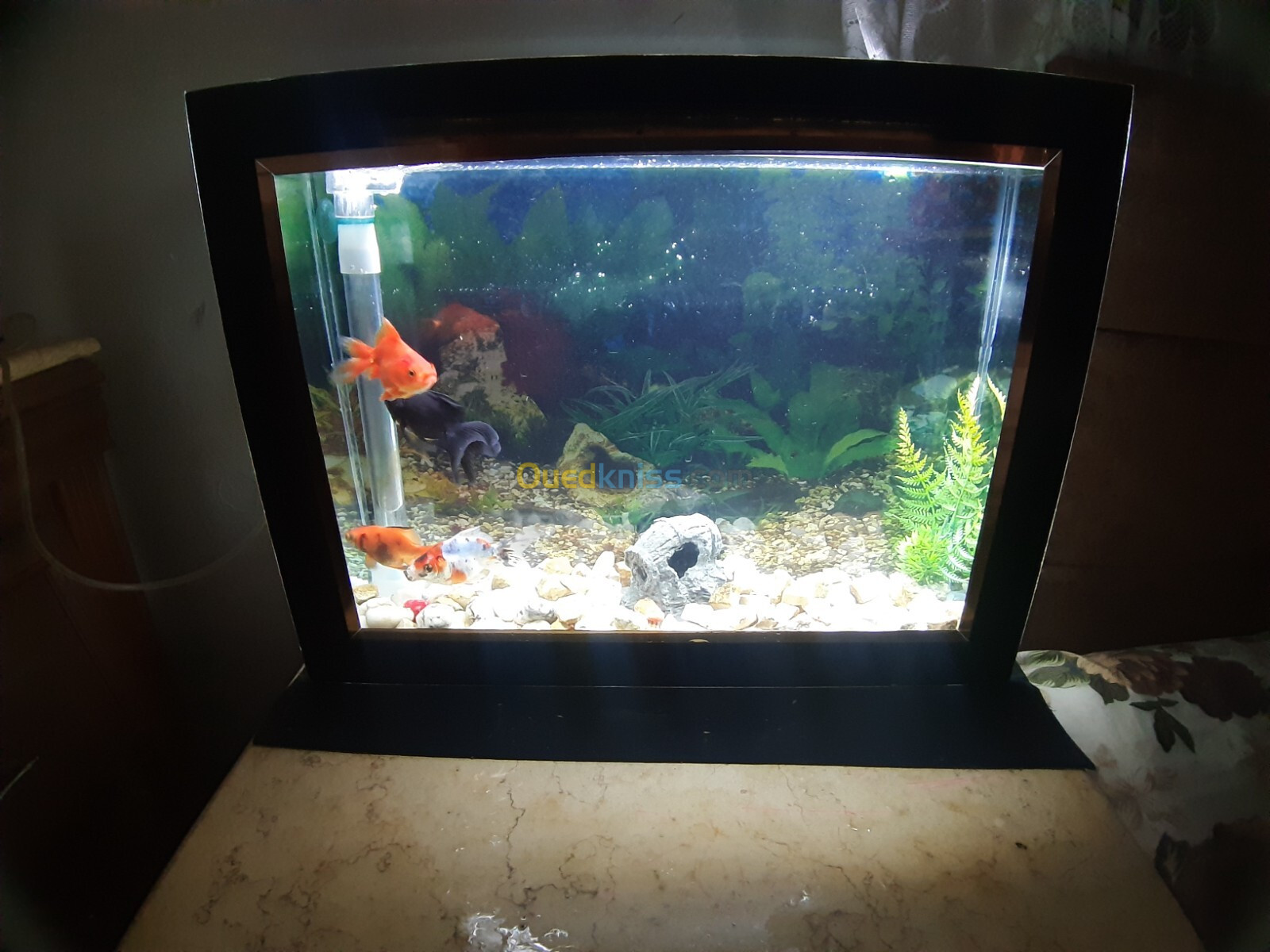 Aquarium plasma 52cm avec Poissons et accessoires complet 