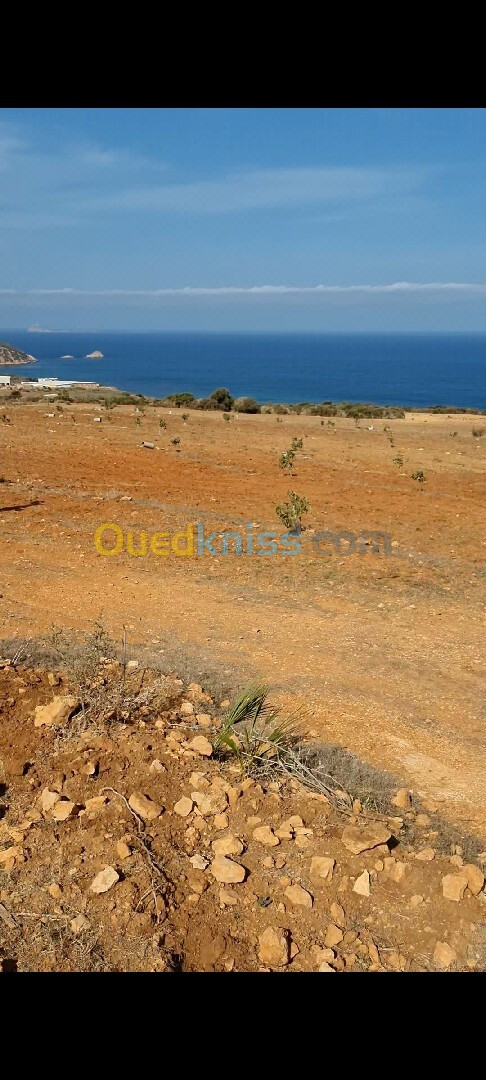 Vente Terrain Oran Ain el turck