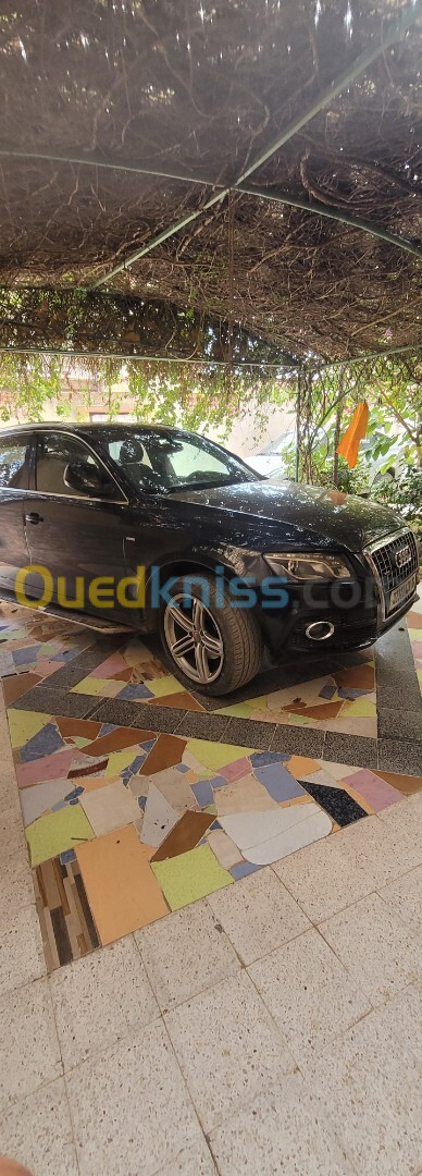 Audi Q5 2013 S Line