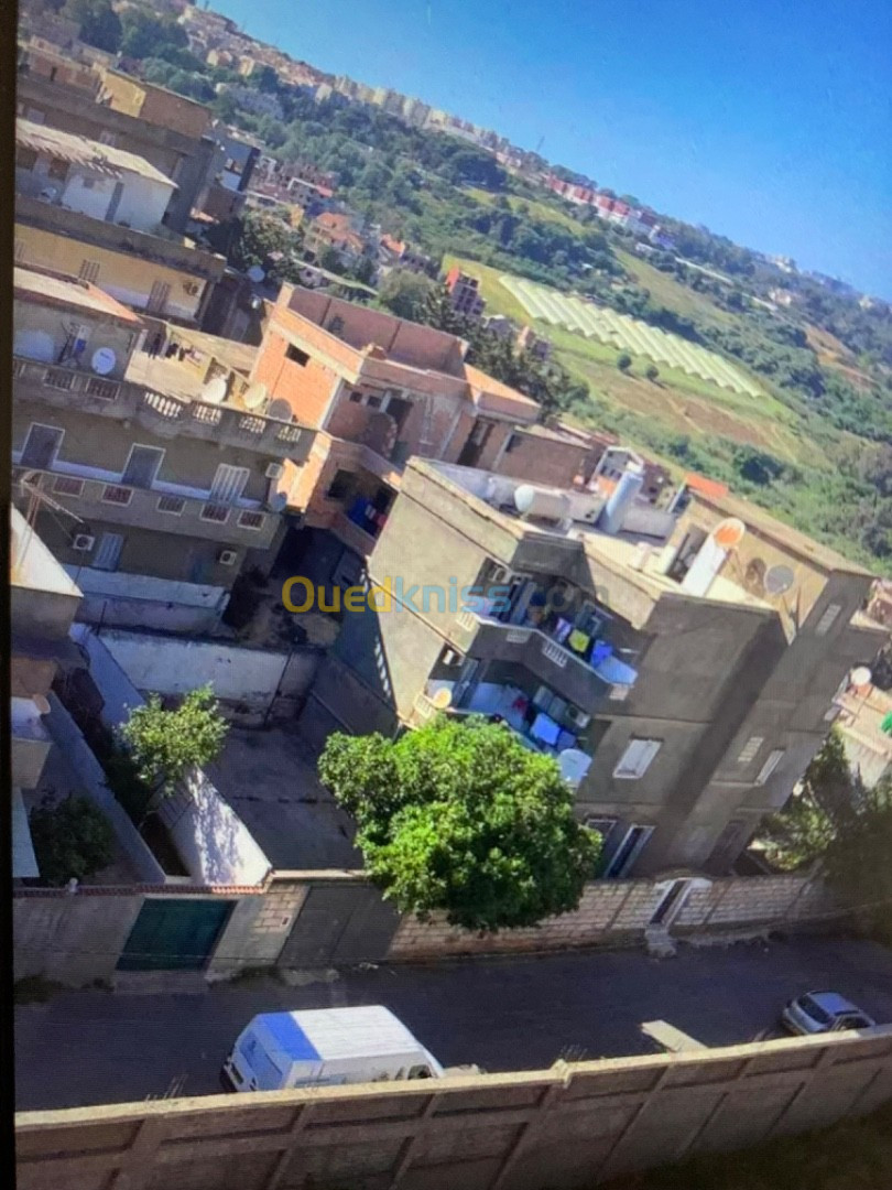 Vente Terrain Alger Saoula