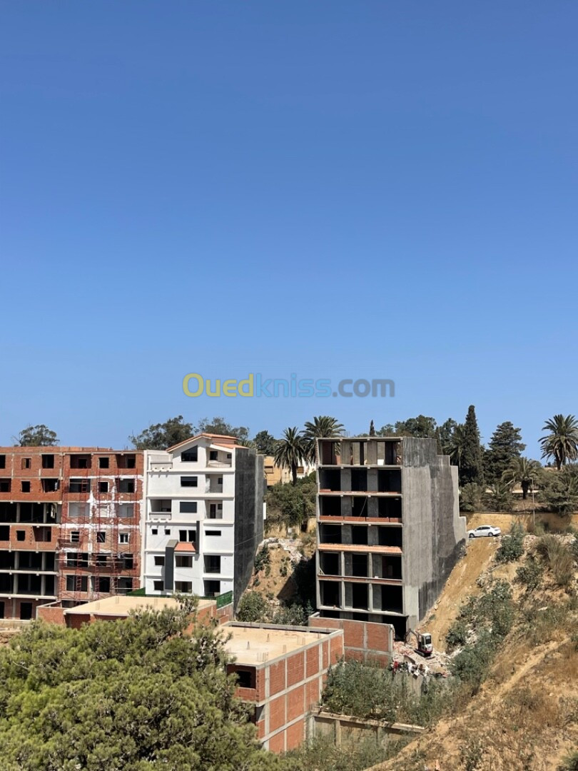 Vente Terrain Alger Bouzareah