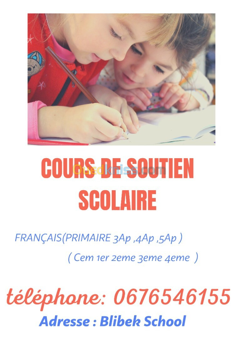 Professeurs de français en ligne et dans une école 