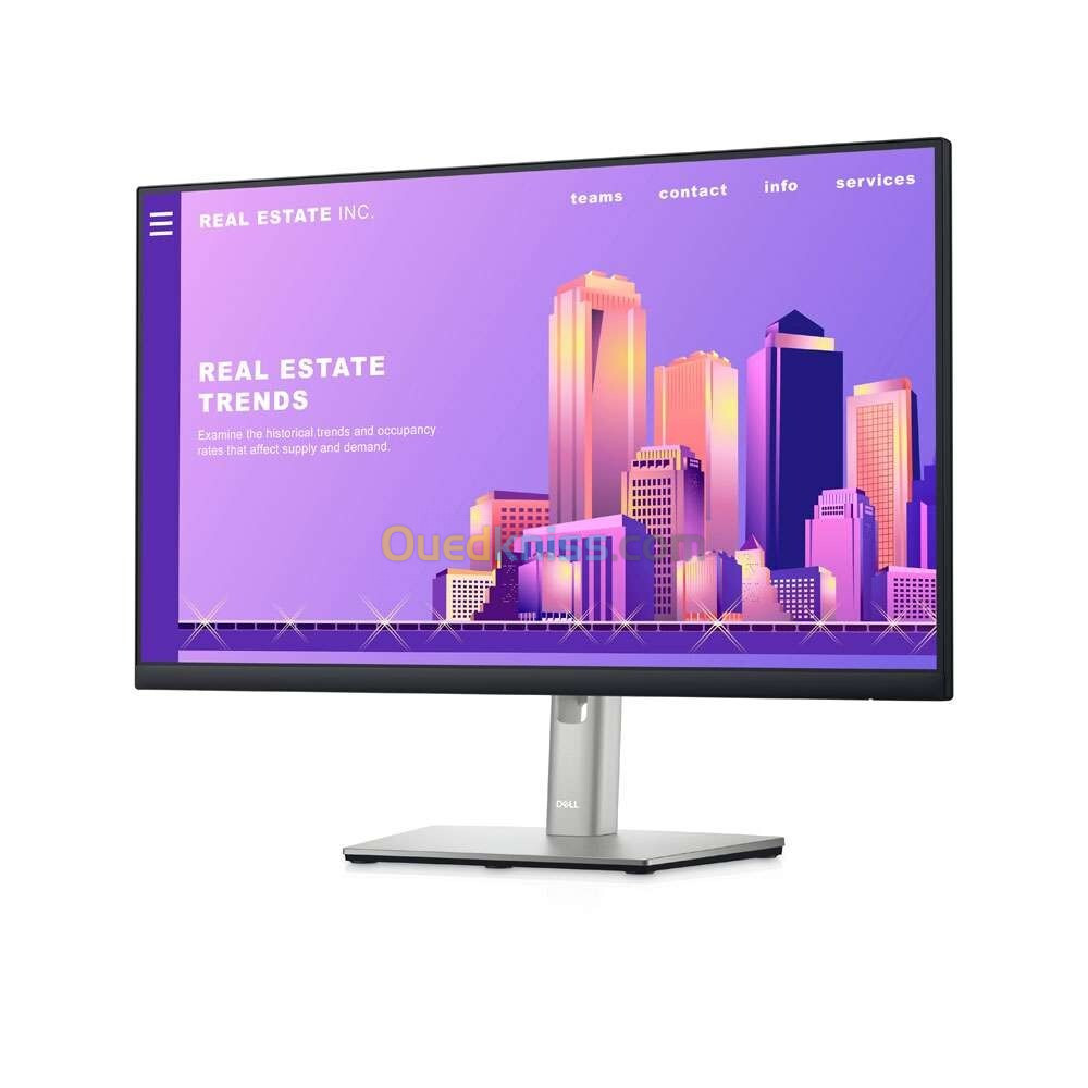 Ecran Dell P2422H 24 pouces large en FHD avec 60Hz/dalle IPS 16:9ème/5ms/HDMI/DisplayPort/VGA/USB