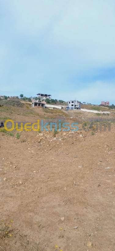 Vente Terrain Tizi Ouzou Tigzirt