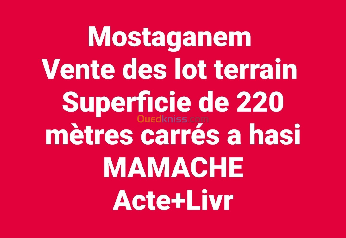 Vente Terrain Mostaganem Hassi maameche