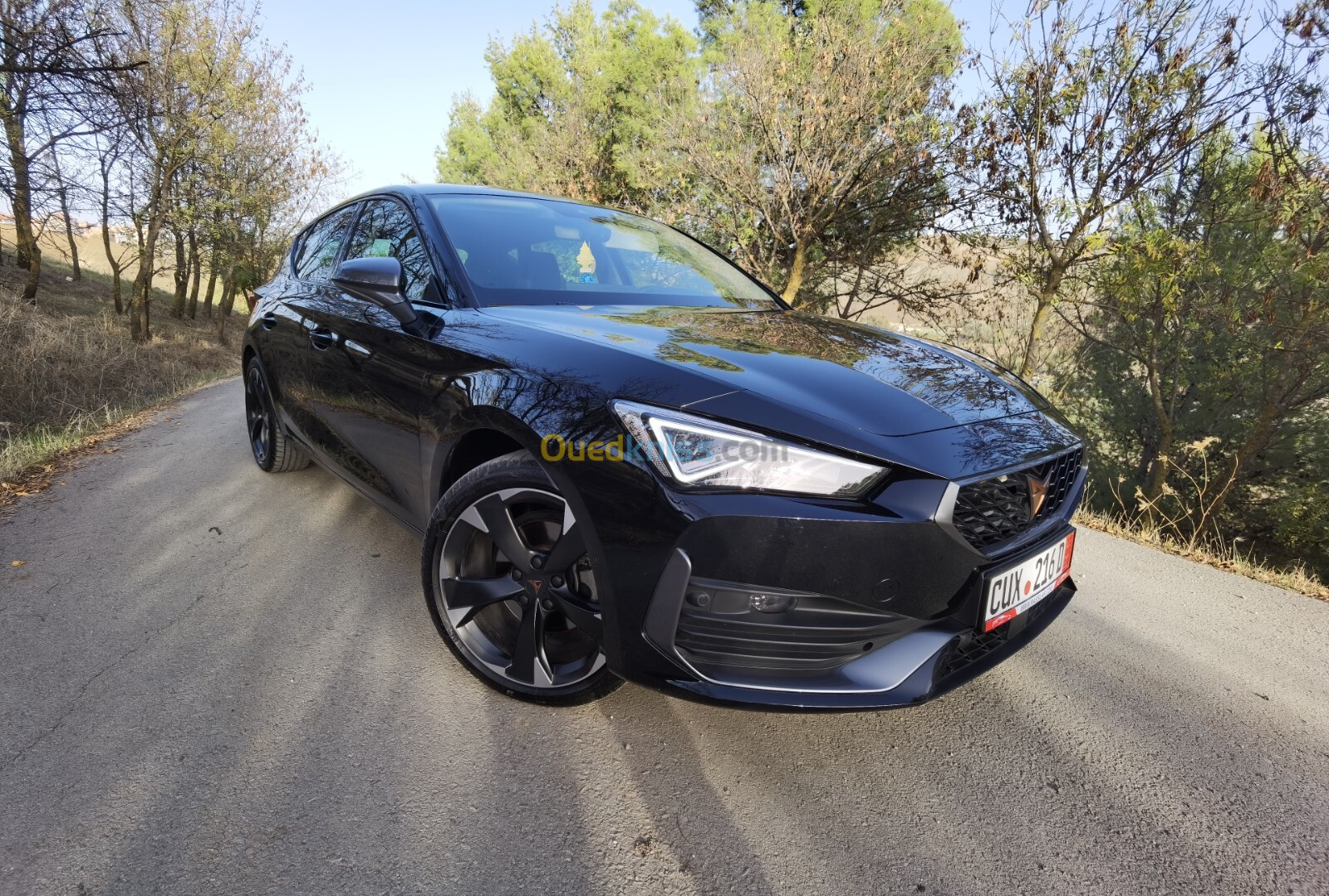 Seat Cupra 2023 Cupra