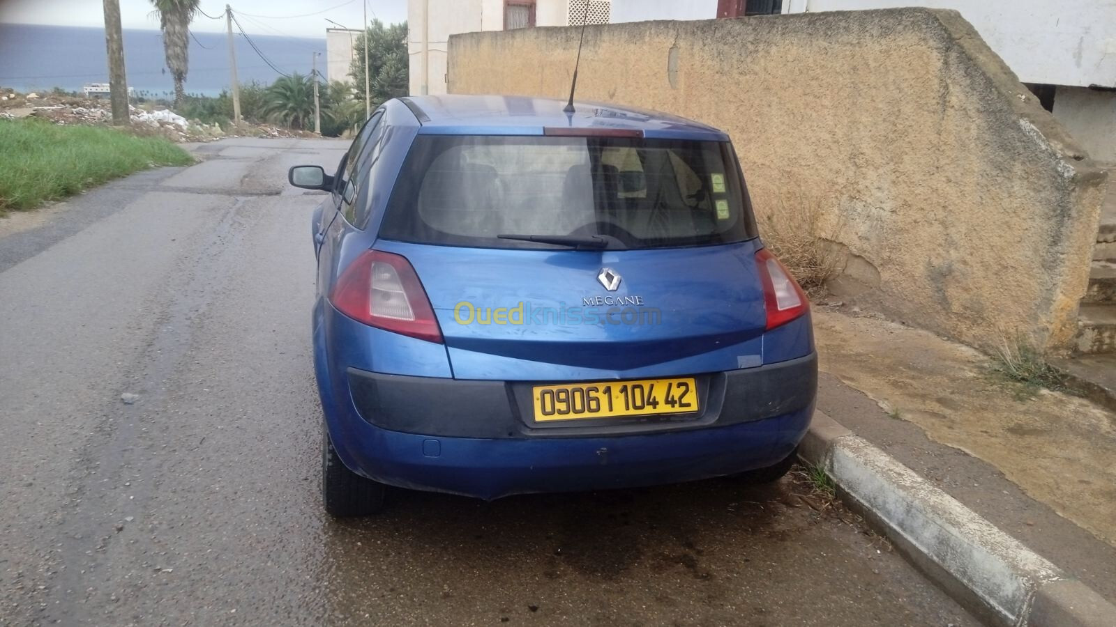 Renault Mégane berry 2004 