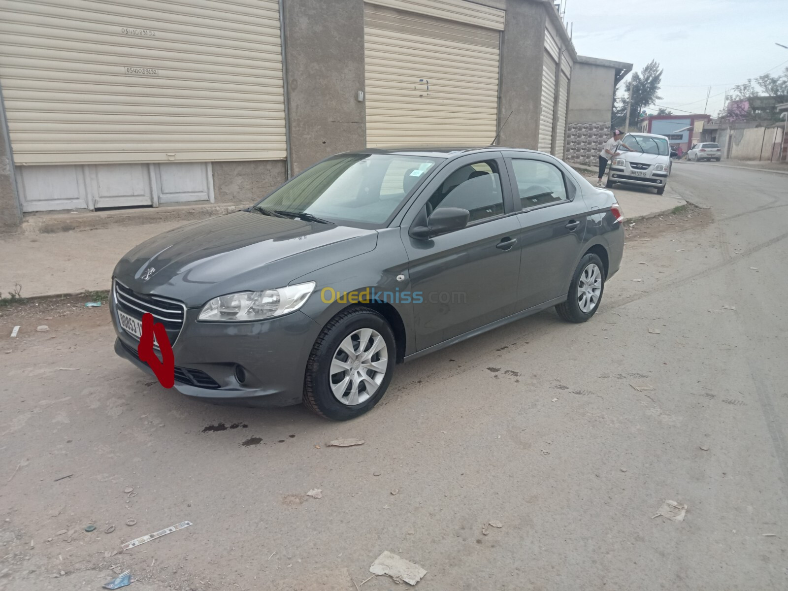 Peugeot 301 2013 Access