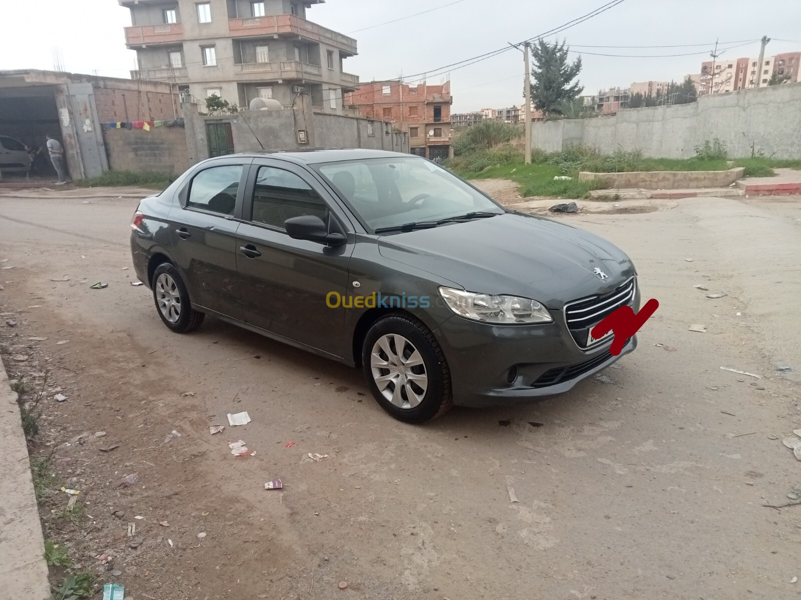 Peugeot 301 2013 Access