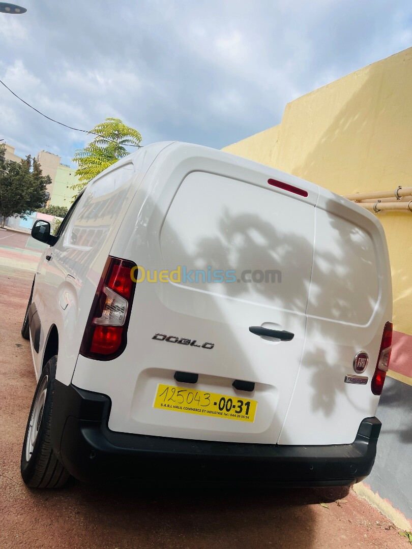 Fiat Doblo 2024 Doblo