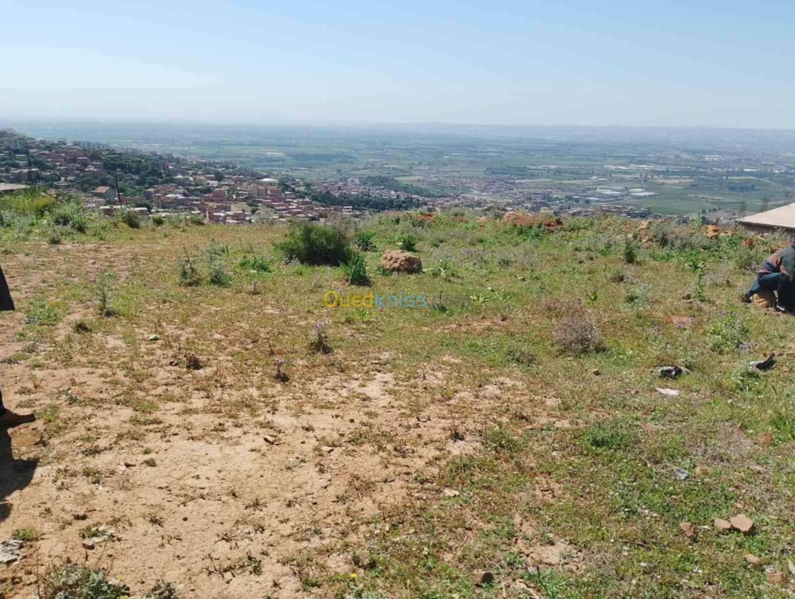 Vente Terrain Blida Meftah