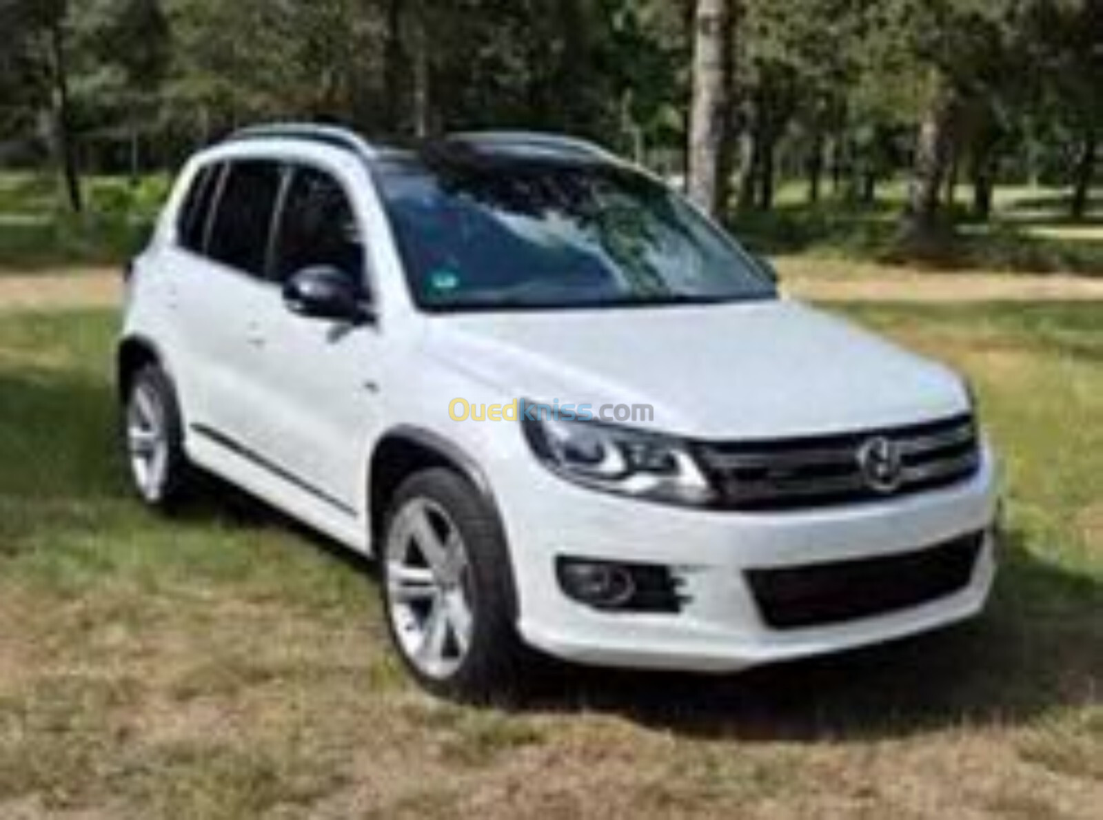 Volkswagen Tiguan 2013 R Line