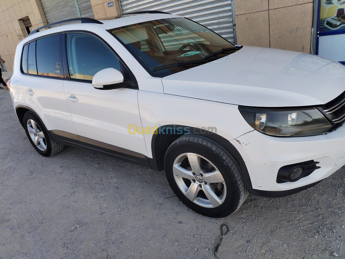 Volkswagen Tiguan 2011 Tiguan