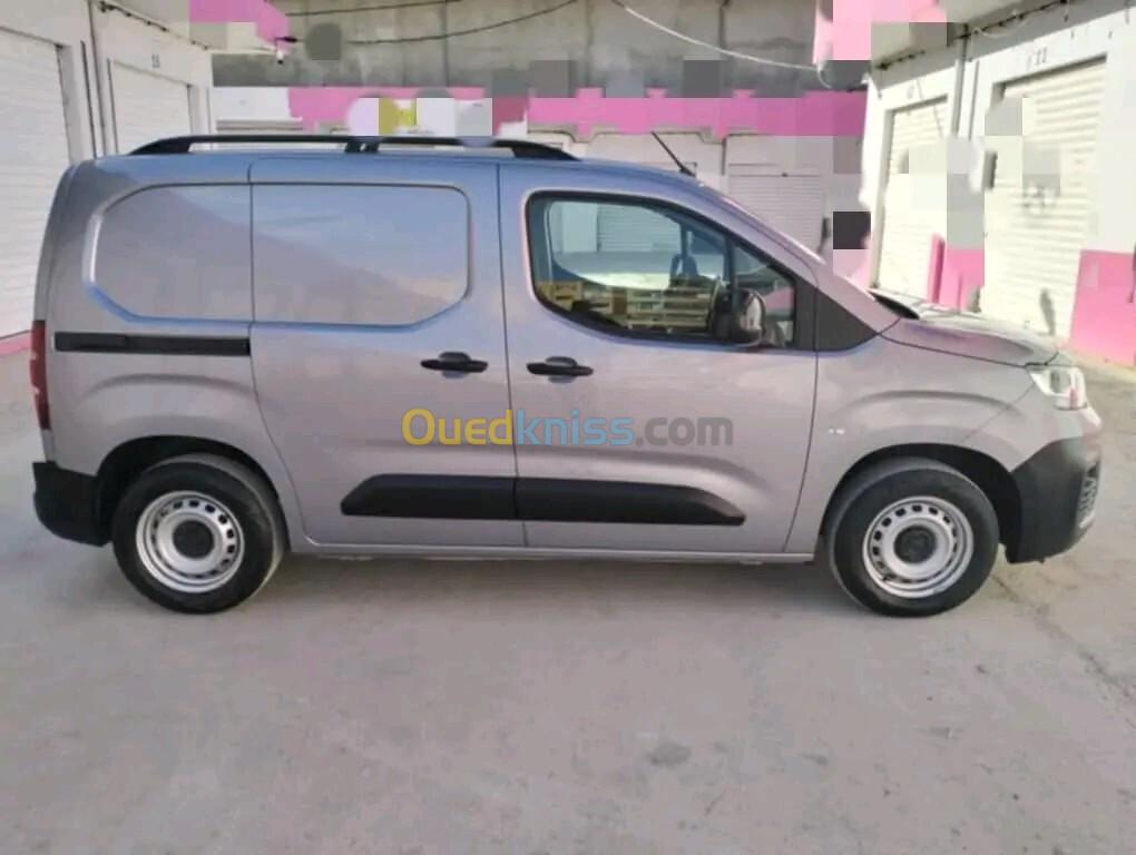 Fiat Doblo 2024 Professional