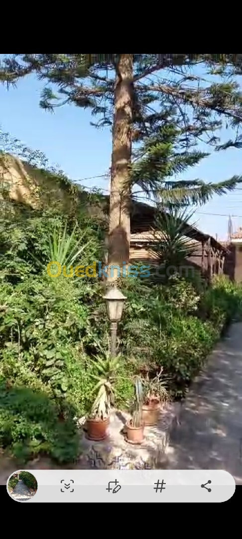 Vente Villa Alger Bordj el kiffan