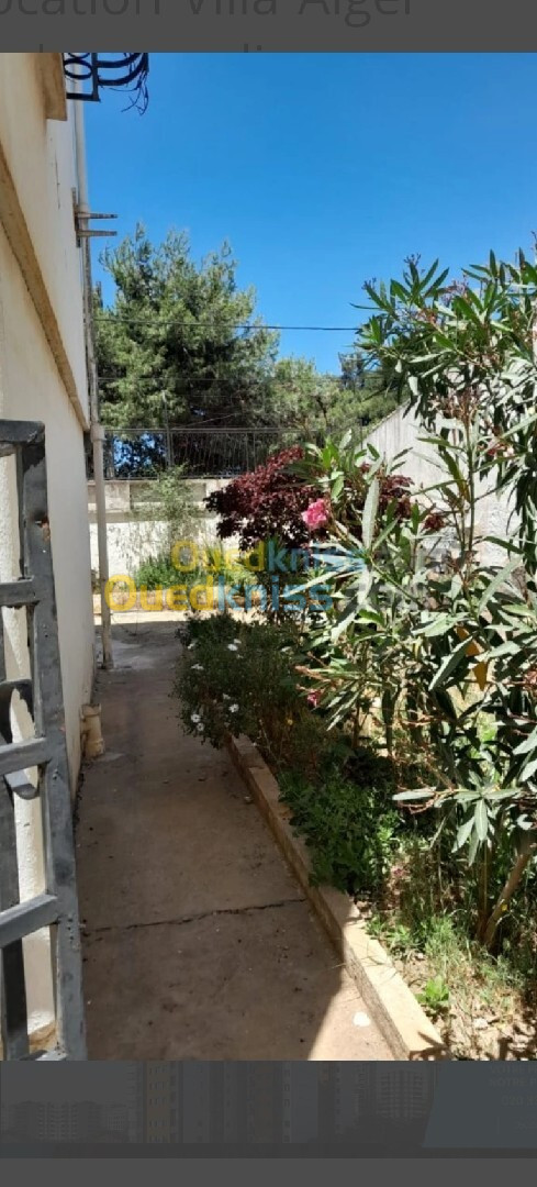 Location Villa Alger Mohammadia