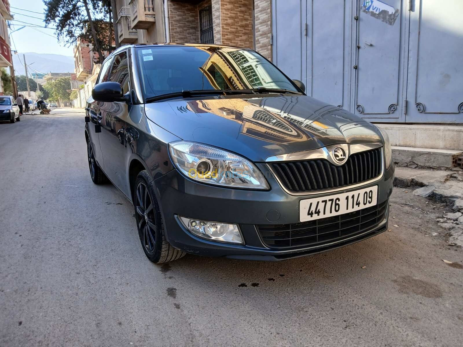 Skoda Fabia 2014 Visage