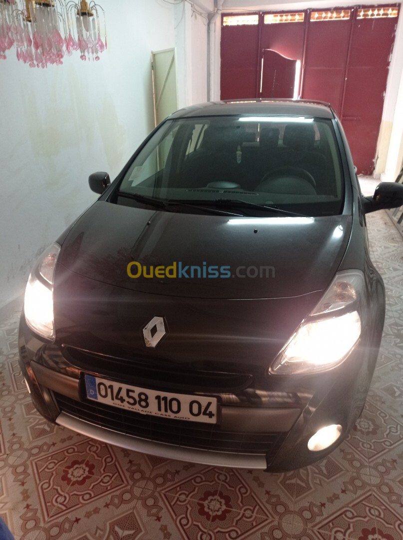 Renault Clio 3 2010 Clio 3