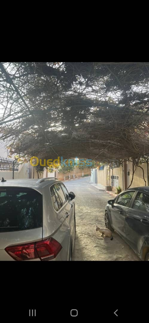 Location Villa Alger Birkhadem