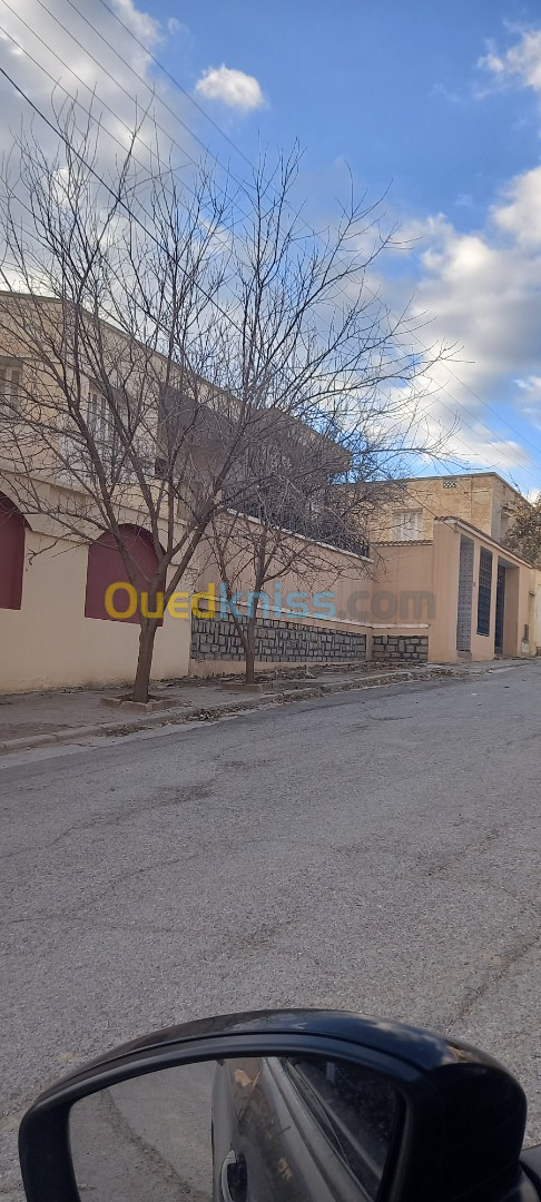 Vente Villa Tiaret Tiaret