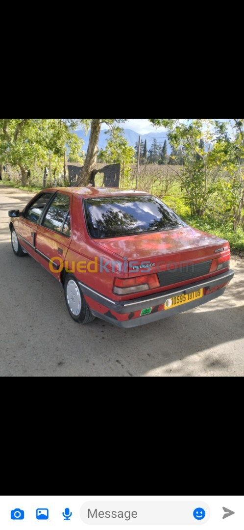 Peugeot 405 1991 405