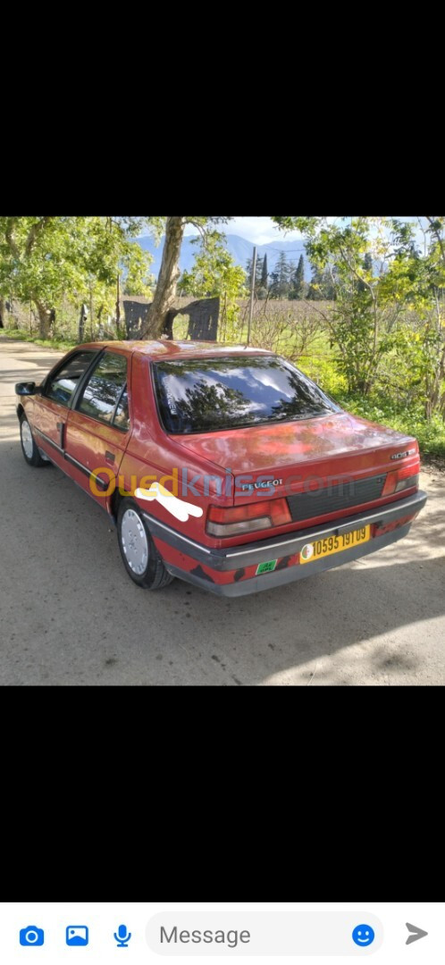 Peugeot 405 1991 405