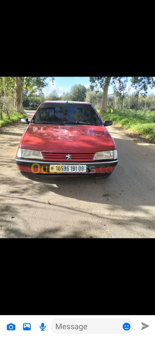 Peugeot 405 1991 405