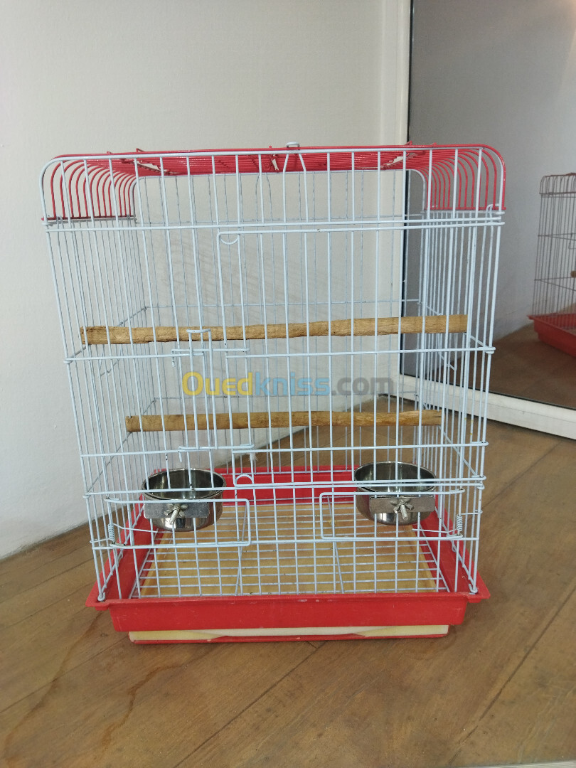 cage perroquet