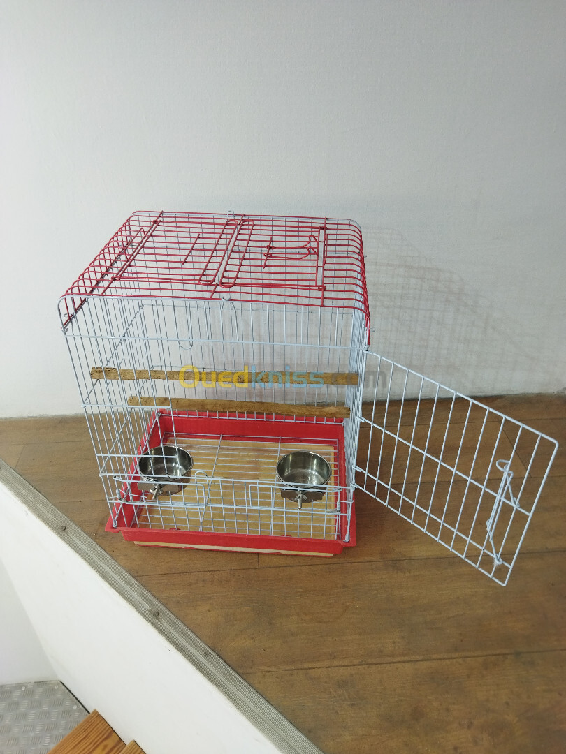 cage perroquet